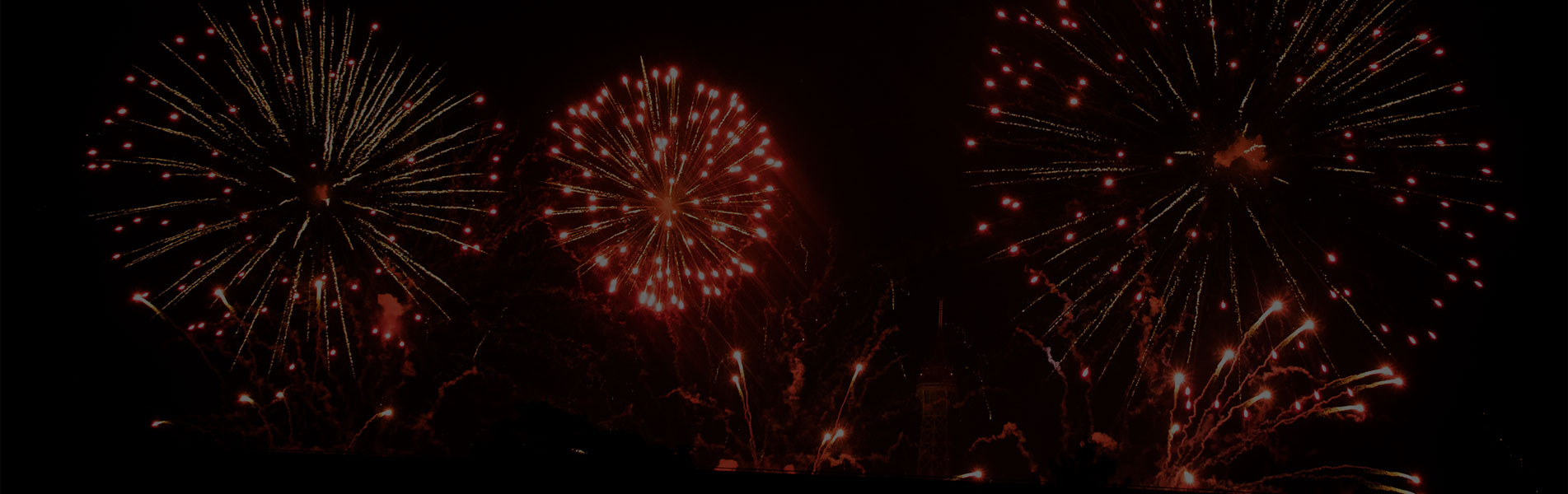 2024 New Year's Eve Cruise Vedettes de Paris
